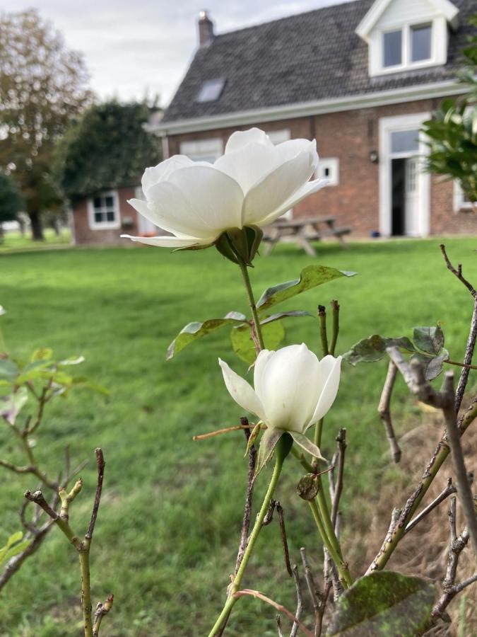 Landhuis 'De Ontspanning' Axel Exterior foto
